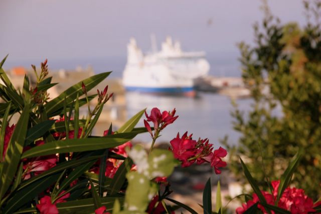 2010 07 05 jeanmarcperfetti.com 089.JPG